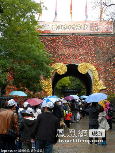 香山红叶节即将闭幕 周末游客冒雨前往