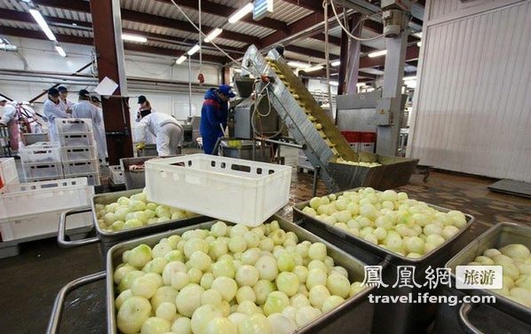 走进“西伯利亚美食”工厂制作食品的幕后