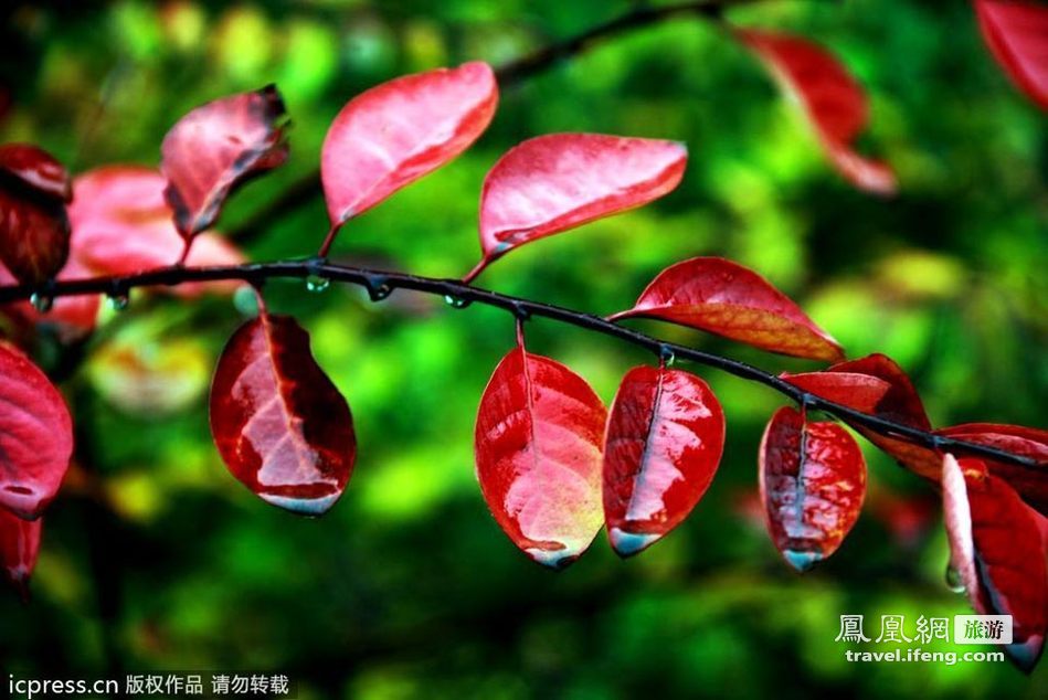 深秋北方赏景 初冬秋韵中的龙城太原