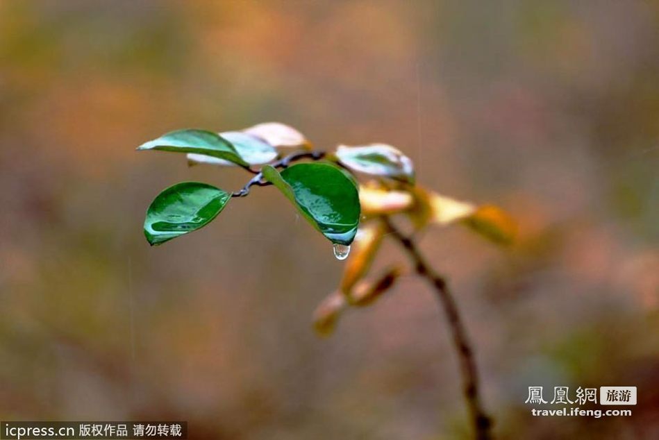 深秋北方赏景 初冬秋韵中的龙城太原