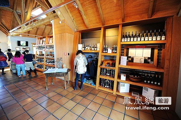 新西兰基督城附近mudhouse葡萄酒庄园亲历葡萄酒酿造过程