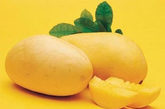芒果：芒果是热性水果，容易上火，过早给孩子吃容易造成过敏。