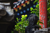 据悉北京万寿寺目前仍不归属于中国佛教协会，万寿寺为全国文保单位，又称北京艺术博物馆。（图片来源：凤凰网华人佛教  摄影：晓愚）