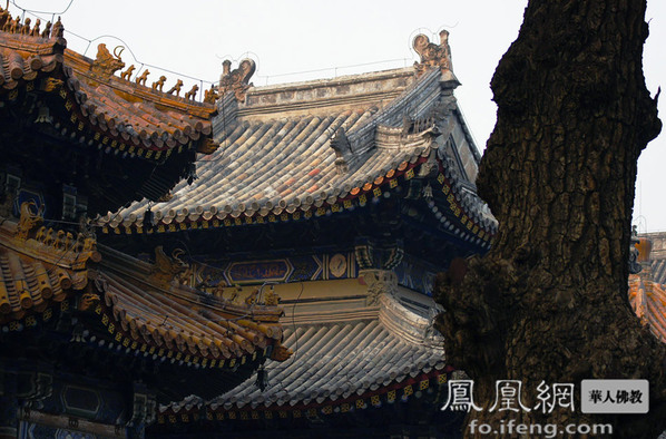 默默无语的敕建护国万寿寺