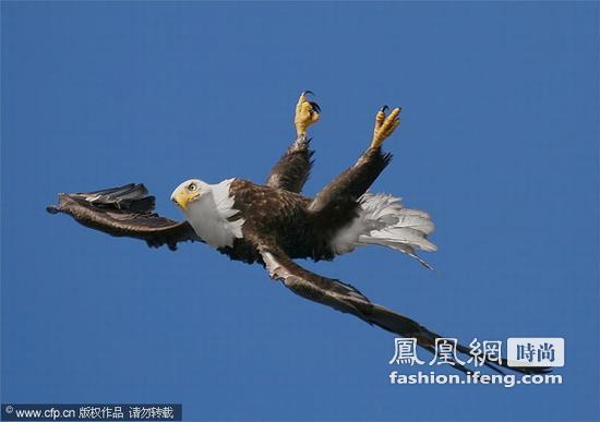 光棍节推荐 独自单身不如一起犯二