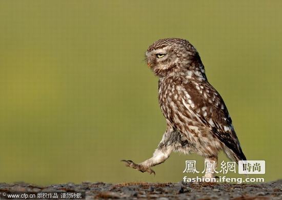 光棍节推荐 独自单身不如一起犯二