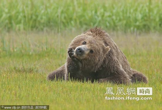 光棍节推荐 独自单身不如一起犯二