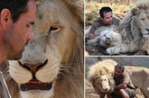 南非“狮语者”与狮群的亲密接触

凯文·理查德森是一位动物行为学家，他在南非常年与狮子，猎豹等猛兽生活在一起，目前他掌管着南非豪登省的狮园里的白狮王国。因此他也被人们称为“狮语者”。他的第一位“老师”是一头4岁的雄狮，第一堂课就差点要了他的命，最后他顺从的姿势才让狮子安静了下来。他正在拍摄一部关于动物保护的影片，希望能唤起人们对野生动物的保护，不再因为个人喜好而猎杀狮子。
