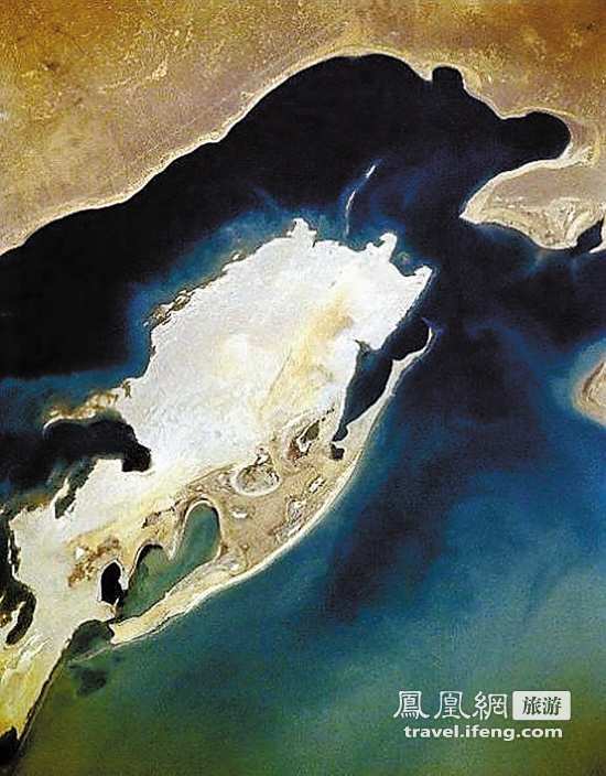 全球最致命的七座小岛 大久野岛被从地图划掉
