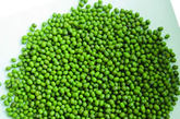 2、绿豆。绿豆营养丰富,其籽粒中含有蛋白质22%-26%,而且绿豆中的纤维含量较高,一般在3%-4%,因此,育龄女性不宜多食绿豆,避免不孕情况发生。