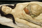 重口味 探伦敦恐怖人体解剖模型展览