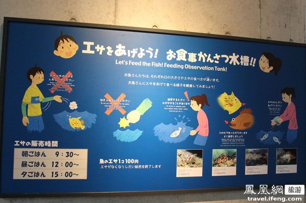 九十九岛水族馆 别样海底世界寻乐趣