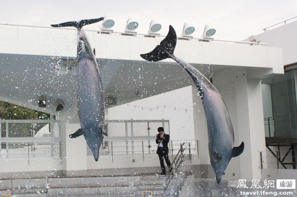 九十九岛水族馆 别样海底世界寻乐趣