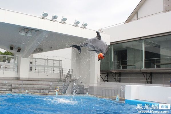 九十九岛水族馆 别样海底世界寻乐趣