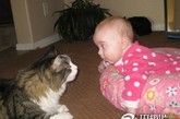 宝宝与宠物的超有爱搞笑瞬间,这些宝宝们太可爱啦。