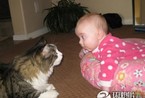 宝宝与宠物的超有爱搞笑瞬间