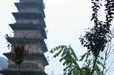 紧邻两组祖师塔的路面已裂开巨大的裂缝（图片来源：凤凰网华人佛教  摄影：印媛）