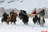 图为阿勒泰市哈萨克族市民在雪地刁羊。 孙亭文 摄