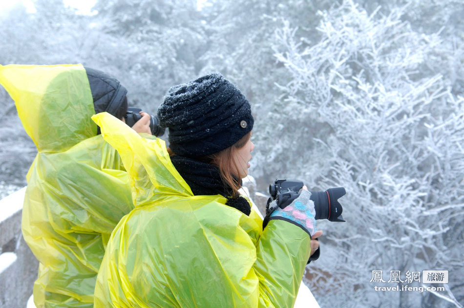 黄山雾凇奇观 满山苍松摇变“白发”雪松