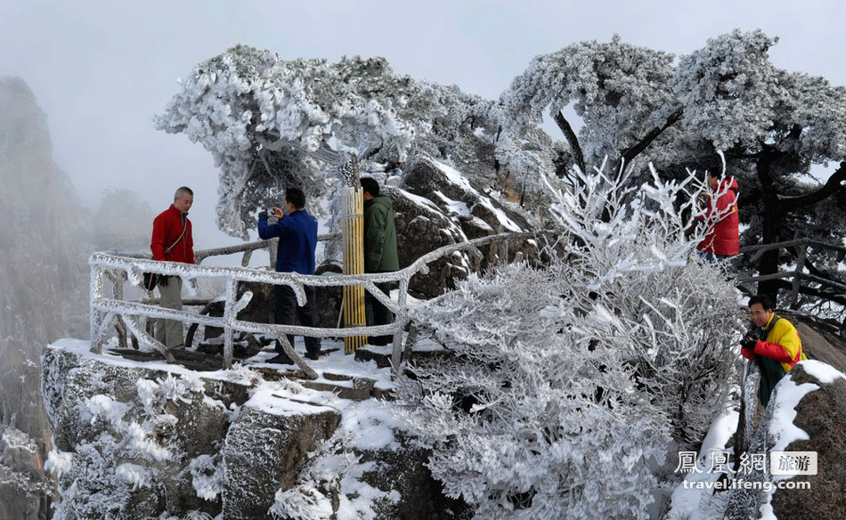 黄山雾凇奇观 满山苍松摇变“白发”雪松