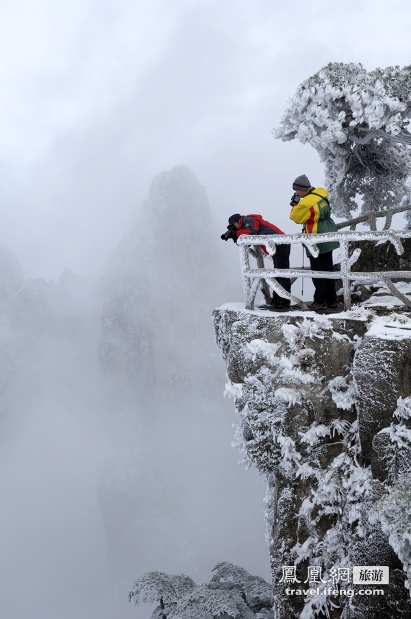 黄山雾凇奇观 满山苍松摇变“白发”雪松