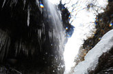 12月4日，冬日的甘肃宕昌县官鹅沟国家森林公园内古木参天，绝壁悬崖直插云霄，晶莹剔透的瀑布顺着各式冰挂直冲而下，形成奇特的冰凌瀑布景观，尽显大自然的鬼斧神工。杨艳敏 摄
