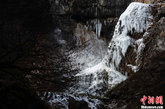 12月4日，冬日的甘肃宕昌县官鹅沟国家森林公园内古木参天，绝壁悬崖直插云霄，晶莹剔透的瀑布顺着各式冰挂直冲而下，形成奇特的冰凌瀑布景观，尽显大自然的鬼斧神工。杨艳敏 摄
