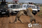 在你心目中，哪些场面你能够hold住呢，当你见到这些图后，你能hold住吗？