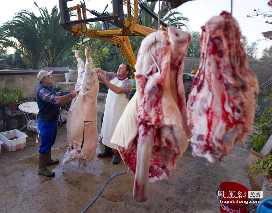 新年将至 实录西班牙农户杀猪做香肠全过程