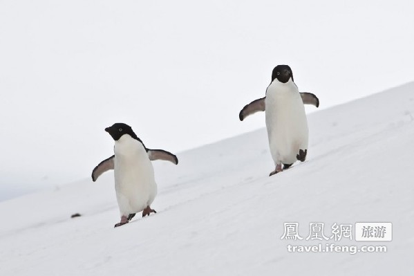 秘境南极 探险天涯尽头的神秘世界