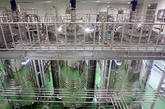 培养室：巨大的培养罐中用养乐多菌发酵，制造发酵液。