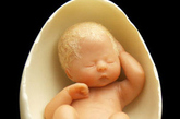 你见过刚出生的婴儿吗？他们一般都多重呢？这些婴儿据说是世界上最小的宝宝，超震撼。
