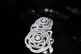 香奈儿（Chanel）高级珠宝2011全新Camelia Brode系列，镶满钻石的山茶花、蝴蝶结形香奈儿高级珠宝 ，在黑色背景的衬托下悄然绽放，清冷纯洁的氛围中满溢着奢华光芒。

山茶花，在香奈儿（Chanel）珠宝的细腻捕捉下，以珠宝为字，犹如写下一首首赞美诗般，赋予名媛仕女耀眼风采。如今，2011年全新Camelia Brode系列，透过最经典的品牌图腾──蝴蝶结和山茶花，呼应了她设计作品的基本概念。 

选用剔透的白色明亮式切割钻石，层迭镶嵌勾勒出山茶花和枝叶；花冠缀饰着耀眼晶钻，如刺绣蕾丝轻洒在肌肤上，精巧链带交织于盛开的山茶花间；蝴蝶结在白净珍珠与黑晶之间闪动，置在珠宝首饰盒中，神秘绽放冬日璀璨。
