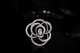 香奈儿（Chanel）高级珠宝2011全新Camelia Brode系列，镶满钻石的山茶花、蝴蝶结形香奈儿高级珠宝 ，在黑色背景的衬托下悄然绽放，清冷纯洁的氛围中满溢着奢华光芒。

山茶花，在香奈儿（Chanel）珠宝的细腻捕捉下，以珠宝为字，犹如写下一首首赞美诗般，赋予名媛仕女耀眼风采。如今，2011年全新Camelia Brode系列，透过最经典的品牌图腾──蝴蝶结和山茶花，呼应了她设计作品的基本概念。 

选用剔透的白色明亮式切割钻石，层迭镶嵌勾勒出山茶花和枝叶；花冠缀饰着耀眼晶钻，如刺绣蕾丝轻洒在肌肤上，精巧链带交织于盛开的山茶花间；蝴蝶结在白净珍珠与黑晶之间闪动，置在珠宝首饰盒中，神秘绽放冬日璀璨。
