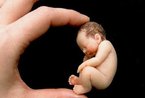 揭秘：世界上最小的婴儿(组图)