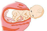 从肩到下边的身体容易出来，头部出来之后，接下来就是肩。胎儿在阴道内不能硬拉，90度的回转后胎儿身体向后翘，肩膀就自然出来了，之后即使不用力肚子和脚也能出来，这时候你的宝宝就诞生了。
