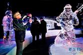 12月15日，游客在荷兰兹沃勒参观冰雕展。国际冰雕展近日在荷兰中部城市兹沃勒拉开帷幕。来自世界各地的40多名艺术家耗费25吨冰和25吨雪，雕刻出一组组栩栩如生的冰雕作品。展览将持续到明年1月底。新华社发（罗宾·于特雷西特摄）
