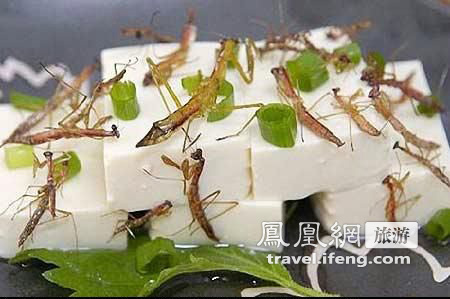 日本的昆虫料理 你敢尝试吗？