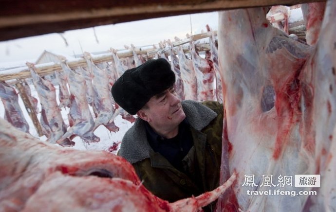 俄罗斯养鹿人奇特生活 屠宰后趁热生吃驯鹿内