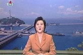 大部分业余时间，朝鲜人在家里看电视。朝鲜现有3家电视台：中央电视台、万寿台电视台和教育电视台。中央电视台是综合性电视台，每天从下午5点起播6个小时，而另两个台只在星期日播放文艺节目。（来源：论坛）