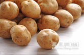 土豆是世界上公认的营养丰富的食物。每餐只吃全脂奶粉和土豆，就可以得到人体所需要的全部营养。土豆的蛋白质中含有18种人体所需的氨基酸，是一种优质的蛋白质。其中所含的黏体蛋白质能预防心血管类疾病。土豆中维生素B1的含量也居常食蔬菜之冠。（资料图）
