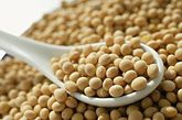 抗衰老食品十九：大豆

推荐理由：大豆是植物中雌激素含量较高食物之一，这对女性的健康是极其重要的。

