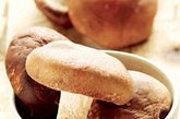 抗衰老食品二十四：蘑菇

推荐理由：营养丰富、提高免疫力、减肥，蘑菇中有大量无机质、维生素、蛋白质等丰富的营养成分，但热量很低，常吃也不会发胖。且蘑菇所含有很高的植物纤维素，可防止便秘、降低血液中的胆固醇含量。蘑菇中的维生素C比一般水果要高很多，可促进人体的新陈代谢。
