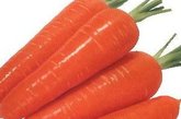 抗衰老食品五：胡萝卜

推荐理由：富含维生素A，可使头发保持光泽，皮肤细腻。

