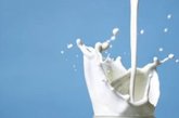 抗衰老食品六：牛奶

推荐理由：含有维生素D和钙，使人的骨骼和牙齿强健。
