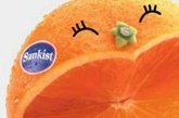 抗衰老食品十五：橙子

推荐理由：防癌，一个中等大小的橙子可以提供人一天所需的维生素C，提高身体抵挡细菌侵害的能力。橙子能清除体内对健康有害的自由基，抑制肿瘤细胞的生长。

