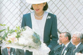 小和田雅子30岁大龄才嫁入皇室，1986年10月在欢迎西班牙公主埃列娜的音乐会上，皇太子德仁对自信坦诚、优雅恬静的雅子一见倾心，但雅子冷静地拒绝了。面对事业和婚姻两条道路选择的雅子为了逃避德仁的追求，不惜远走异国。但德仁抱定非雅子不娶，苦苦追求。在初次会面近6年后，雅子终于为德仁的诚意所感动，接受了他的求婚。