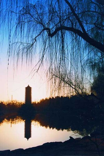 组图:北京大学校园风景