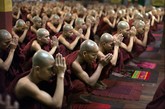 僧人们在一起拜佛念经。（图片来源：中新网）