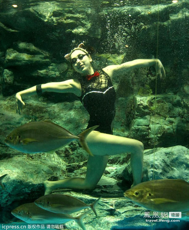 韩国水族馆上演惊艳唯美水中芭蕾